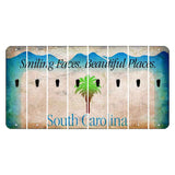 South Carolina Smiling Faces Cut License Plate Strips (Set of 8) Apostrophe