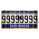 South Carolina While I Breathe Cut License Plate Strips (Set of 8) 9