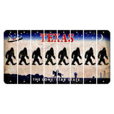 Texas Space Shuttle Cut License Plate Strips (Set of 8) Bigfoot