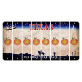 Texas Space Shuttle Cut License Plate Strips (Set of 8) Peach