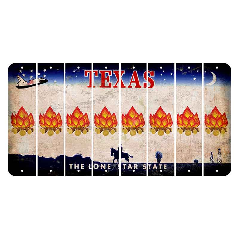 Texas Space Shuttle Cut License Plate Strips (Set of 8) Campfire