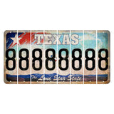 Texas Davis Mountains Cut License Plate Strips (Set of 8) 8