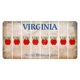 Virginia Cut License Plate Strips (Set of 8) Teacher Apple