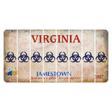 Virginia Jamestown Cut License Plate Strips (Set of 8) Radioactive