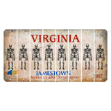 Virginia Jamestown Cut License Plate Strips (Set of 8) Skeleton