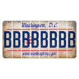 Washington DC.gov Cut License Plate Strips (Set of 8) B