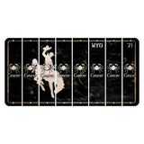Wyoming WYO Black Cut License Plate Strips (Set of 8) Zodiac Sign - Cancer
