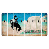 Wyoming Devils Tower Cut License Plate Strips (Set of 8) Apostrophe
