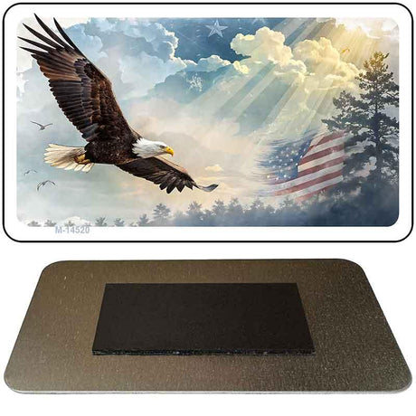 Sunrays & Eagle Novelty Metal Magnet M-14520 3.5" x 2" Magnet (M)