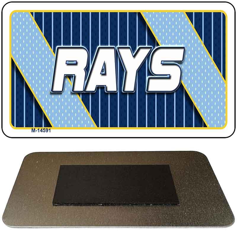RAYS Graphic Novelty Metal Magnet M-14591 3.5" x 2" Magnet (M)