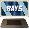 RAYS Graphic Novelty Metal Magnet M-14591 3.5" x 2" Magnet (M)
