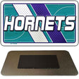 Hornets logo with a basketball court design on a white background