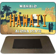 Hawaii Pineapple Novelty Metal Magnet M-7840