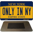 Only In NY New York State License Plate Tag Magnet M-8971