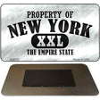 Property Of New York Novelty Metal Magnet M-9773 3.5" x 2" Magnet (M)