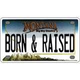 Born and Raised Montana State Novelty License Plate 4" x 2.2" (MLP)