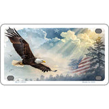 Sunrays & Eagle Novelty Metal License Plate LP-14520