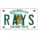 Rays Florida State Metal Novelty License Plate 4" x 2.2" (MLP)