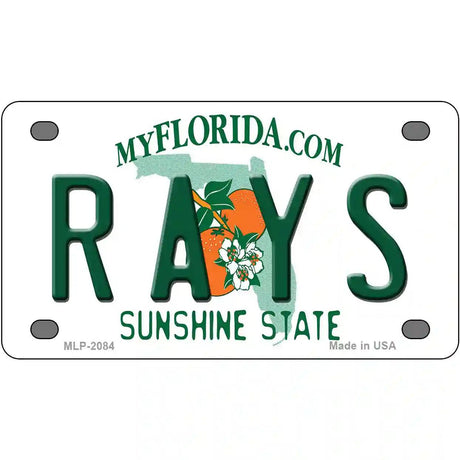 Rays Florida State Metal Novelty License Plate 4" x 2.2" (MLP)