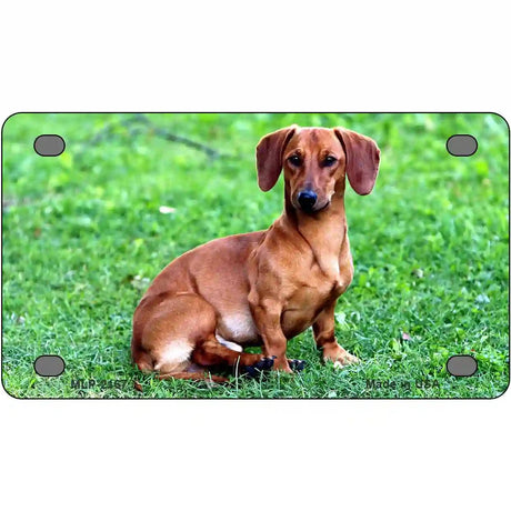 Dachshund Dog Metal Novelty License Plate 4" x 2.2" (MLP)