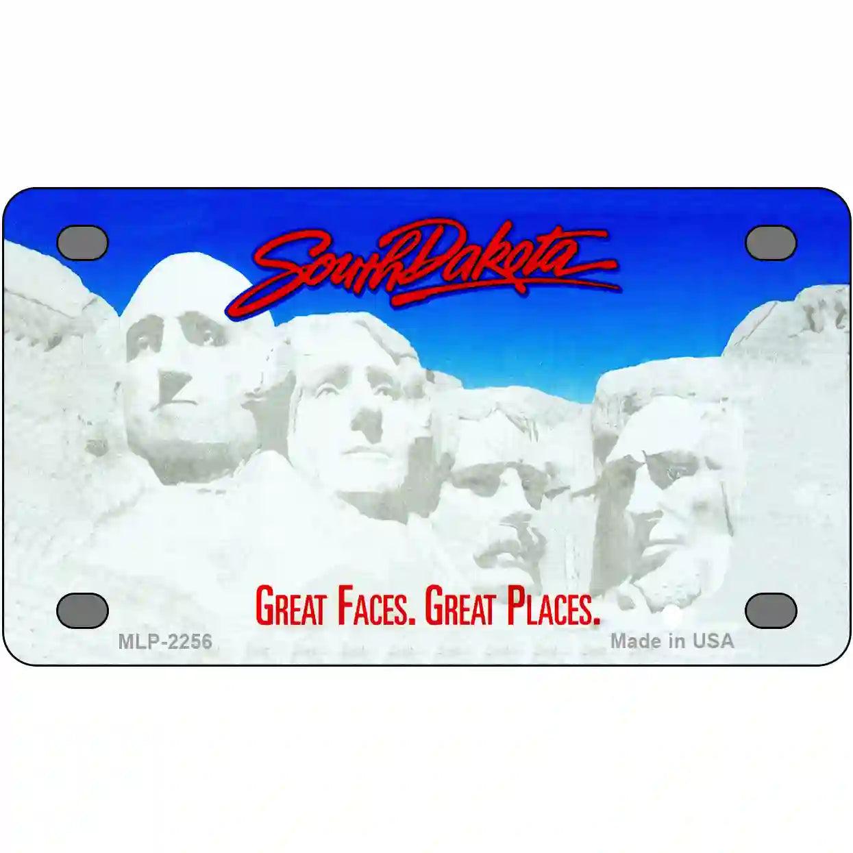 South Dakota Novelty State Blank Metal License Plate | Smart Blonde