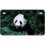 Panda Bear Novelty Metal License Plate 7" x 4" (MP)