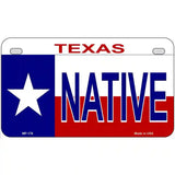 Native Texas Metal Novelty License Plate 7" x 4" (MP)