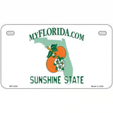 Florida State Blank Novelty Metal License Plate 7" x 4" (MP)