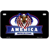 America United Metal Novelty License Plate 7" x 4" (MP)