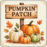 Pumpkin Patch Novelty Metal Square Sign SQ-1665