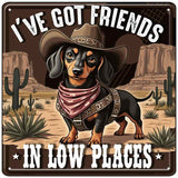Ive Got Friends In Low Places Novelty Metal Square Sign SQ-1702