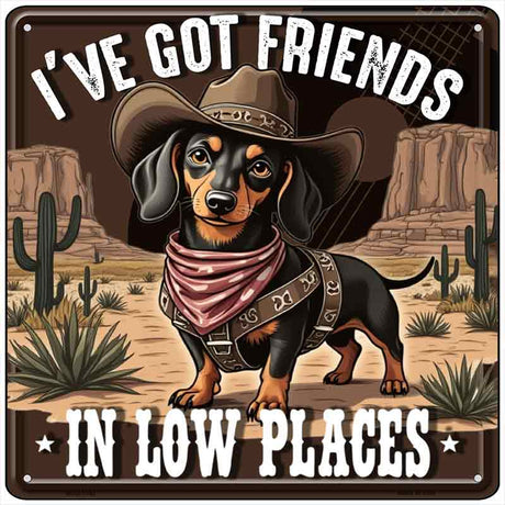 Ive Got Friends In Low Places Novelty Metal Square Sign SQ-1702