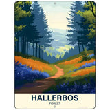 Hallerbos Forest Metal Novelty Parking Sign P-4565