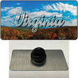 Virginia Mountain Range State Novelty Metal Hat Pin