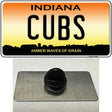 Cubs Indiana Novelty Metal Hat Pin