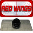 RED WINGS Graphic Novelty Metal Hat Pin PIN-LP-14666 1.5" x 0.75" Lapel Pin (PIN)