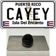 Cayey Puerto Rico Novelty Metal Hat Pin