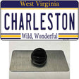 Charleston West Virginia Novelty Metal Hat Pin