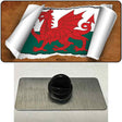 Wales Flag Scroll Novelty Metal Hat Pin