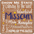 Missouri Motto Novelty Metal Square Sign 12" (SQ)