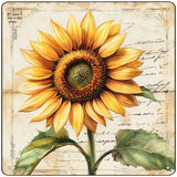 Vintage Sunflower Novelty Metal Square Sign SQ-1672