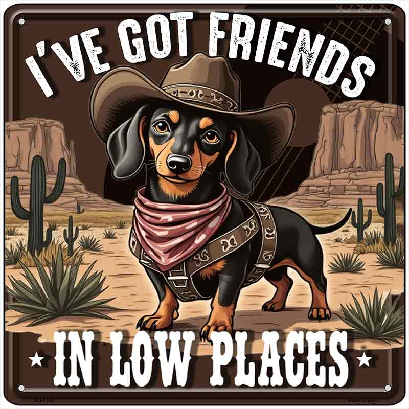 Ive Got Friends In Low Places Novelty Metal Square Sign SQ-1702