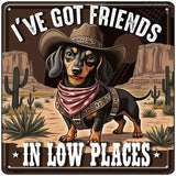 Ive Got Friends In Low Places Novelty Metal Square Sign SQ-1702