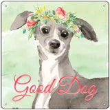 Italian Greyhound Good Dog Novelty Square Sign 12" (SQ)