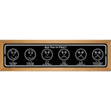 Are You In Pain Novelty Metal Street Sign 19" x 5.5" (WB-K)