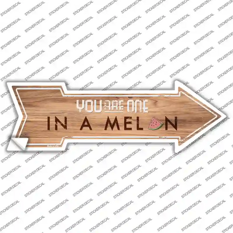One in a Melon Novelty Arrow Sticker Decal