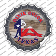 Dixie Chicks Texas Novelty Bottle Cap Sticker Decal