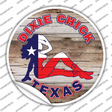 Dixie Chicks Texas Novelty Circle Sticker Decal