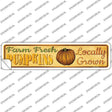 Farm Fresh Pumpkins Novelty Narrow Sticker Decal