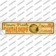 Farm Fresh Cantaloupe Novelty Narrow Sticker Decal